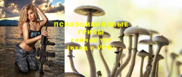 круглые Алексин